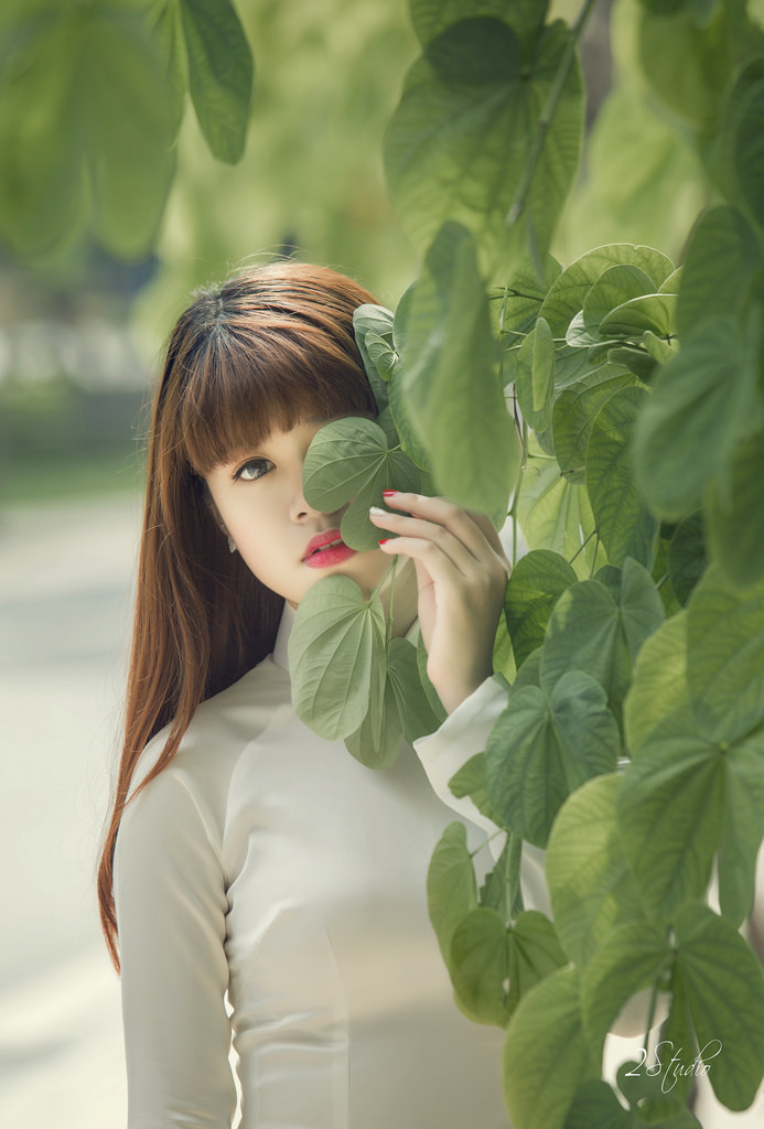 高压监狱满天星在线完整免费高清